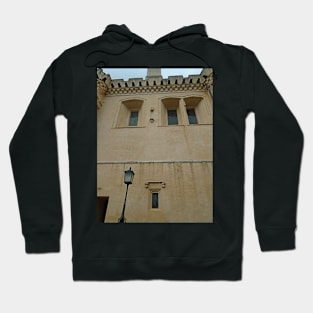 Architectural Detail of The Great Hall, Stirling Castle Hoodie